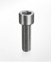 Socket-head screw SZ8514